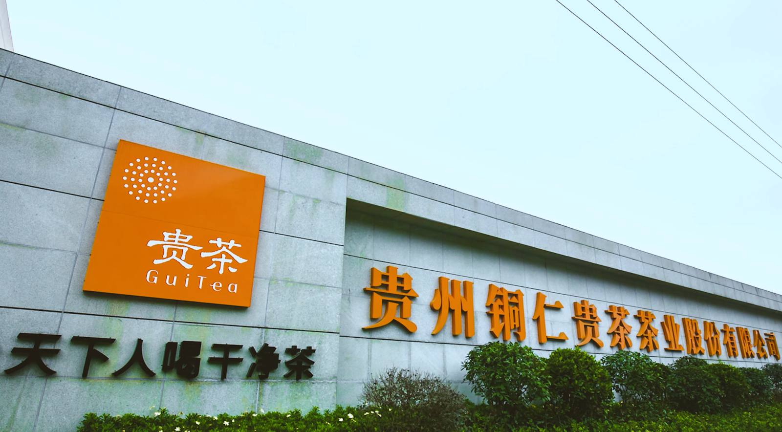 株式会社山中茶業 貴茶日本正規代理店 抹茶卸