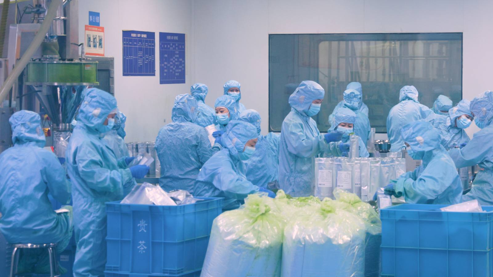 抹茶卸 業務用抹茶 山中茶業
